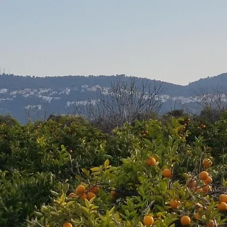 Bed & Breakfast Bellreguard