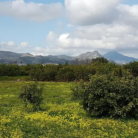 Alojamento de Acomodação e Pequeno-almoço Bed & Breakfast Bellreguard