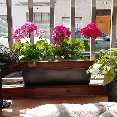 Alojamento de Acomodação e Pequeno-almoço Bed & Breakfast Bellreguard Bellreguard