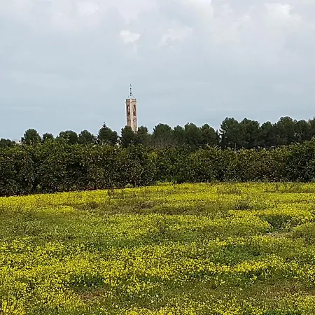 Bed & Breakfast Bellreguard 3*